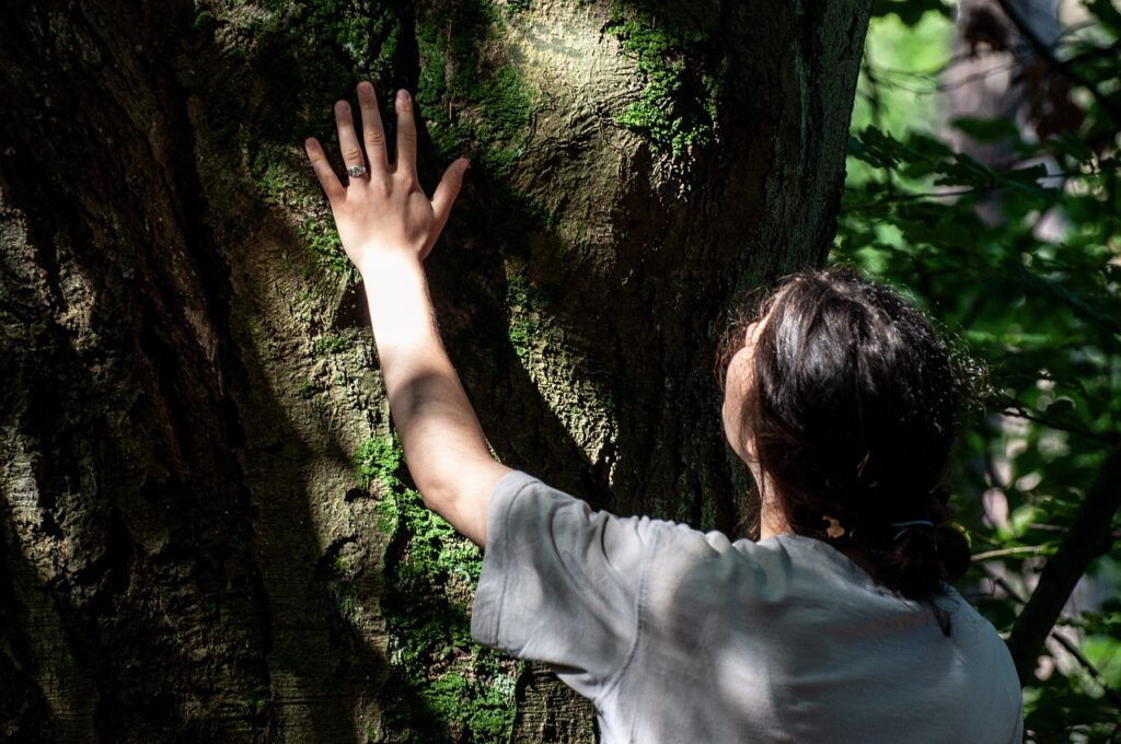 Riconnettersi con la natura - Toccare alberi